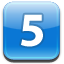 5